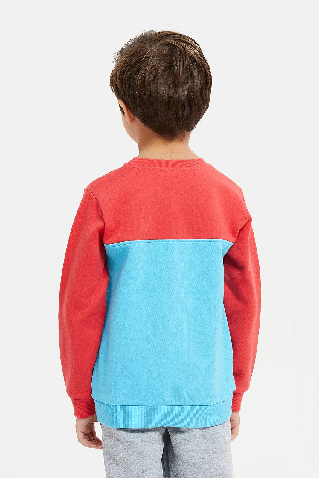Boys Red And Blue Printed Sweatshirt