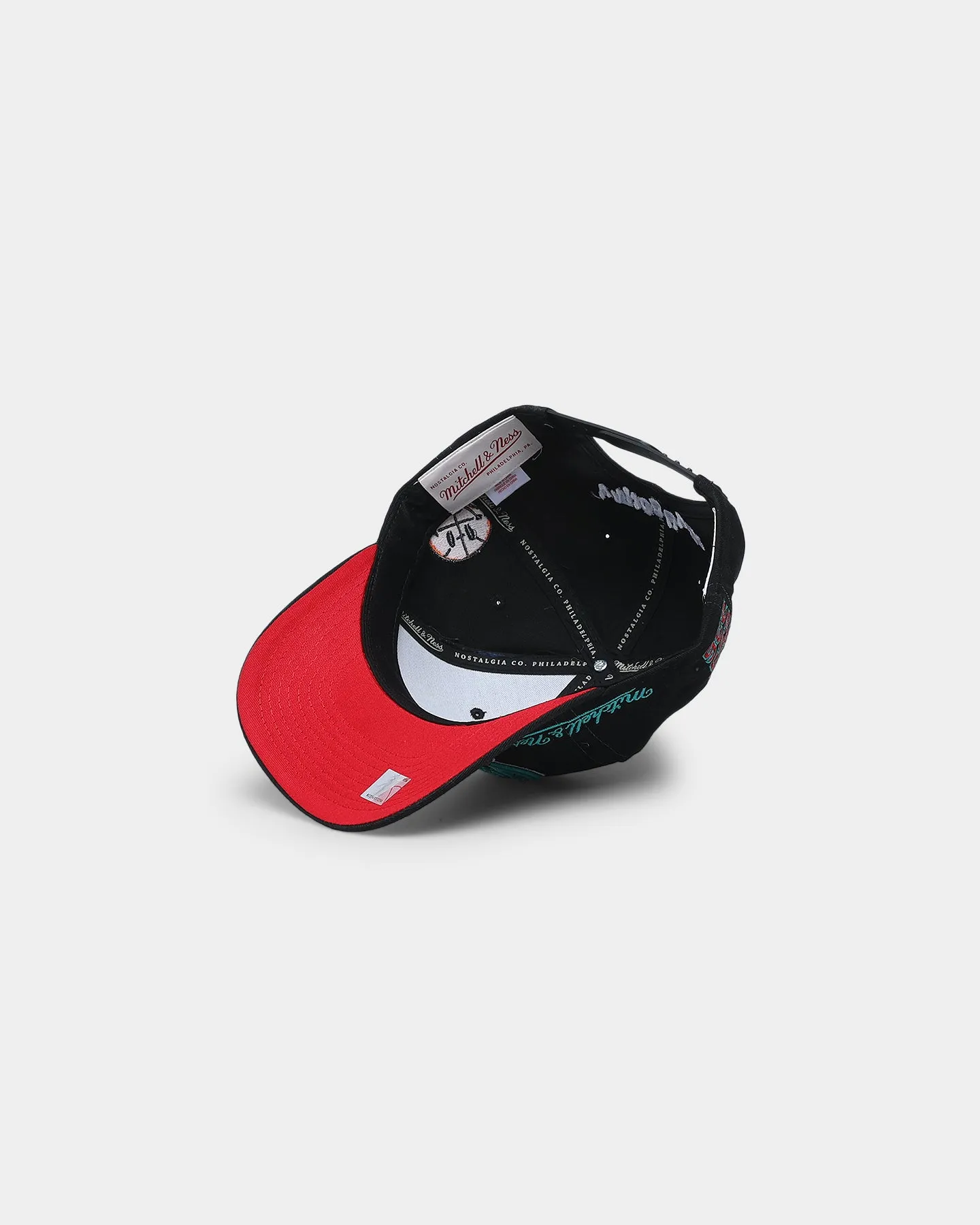 Mitchell & Ness Vancouver Grizzlies 'City Love' Pro Crown Snapback Original Team Colours